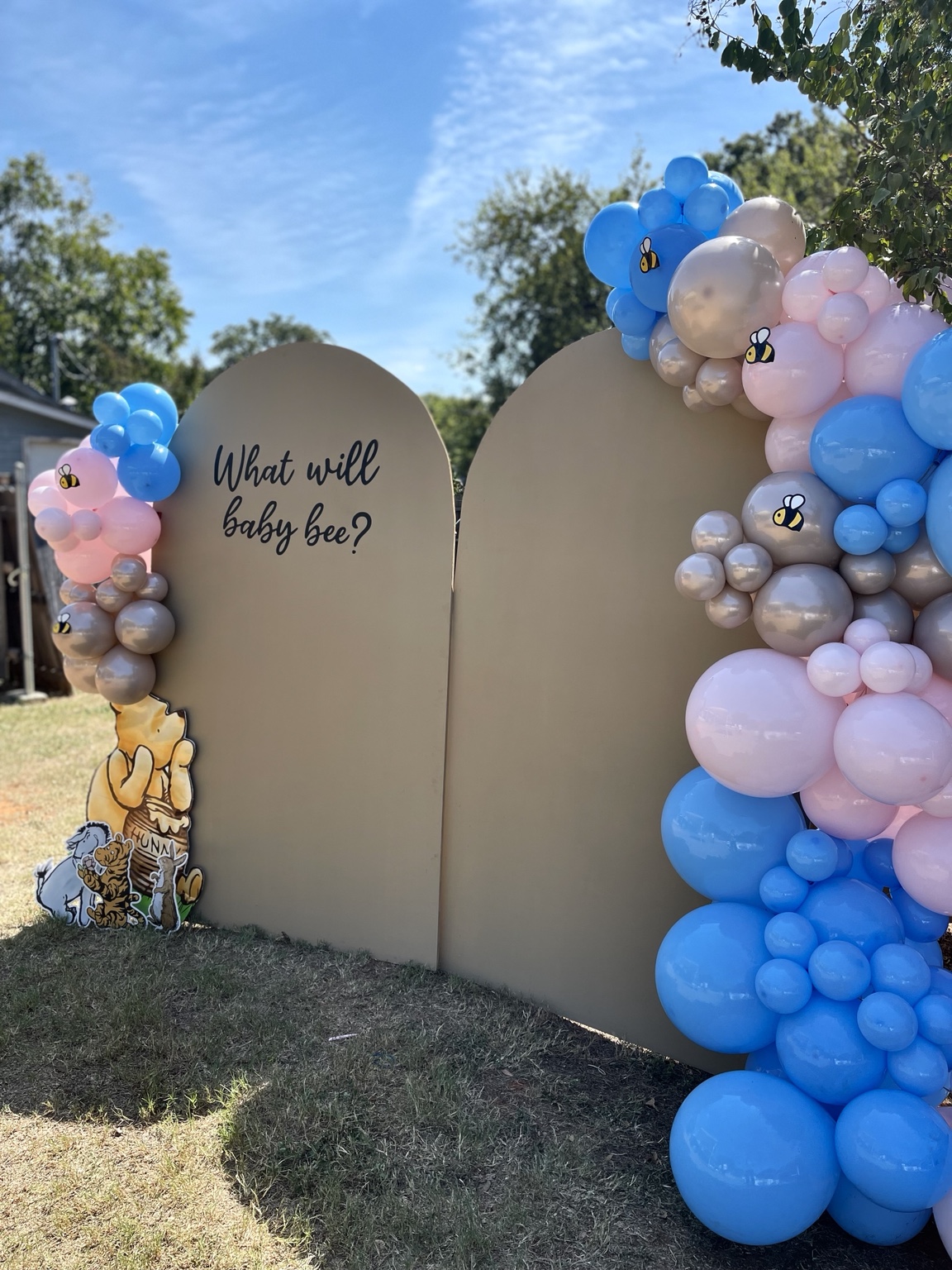 Gender reveal balloon setup